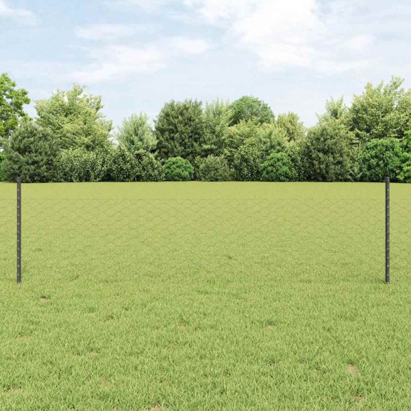 Fence with poles Gray