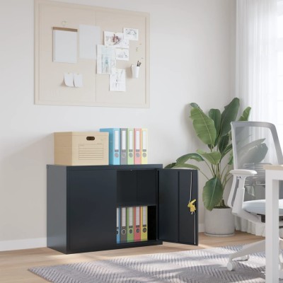 Cabinet for documents,...