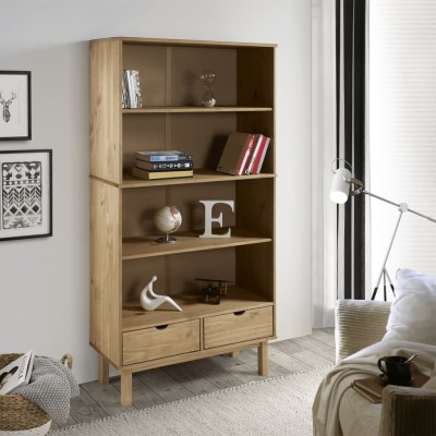 Bookcase with 2 drawers...