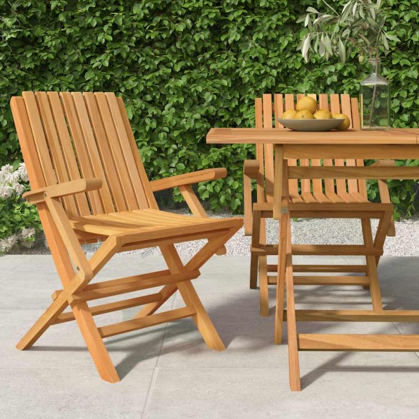 Folding garden chairs, 2 pcs., 61x67x90cm, solid teak