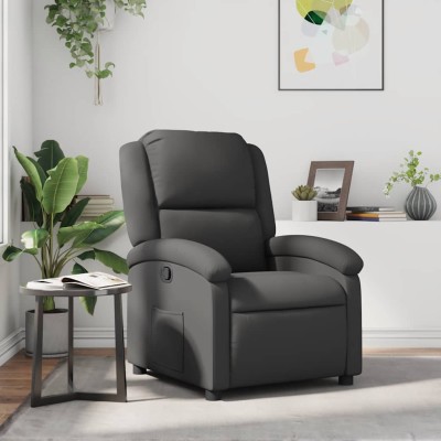 Reclining chair, gray,...