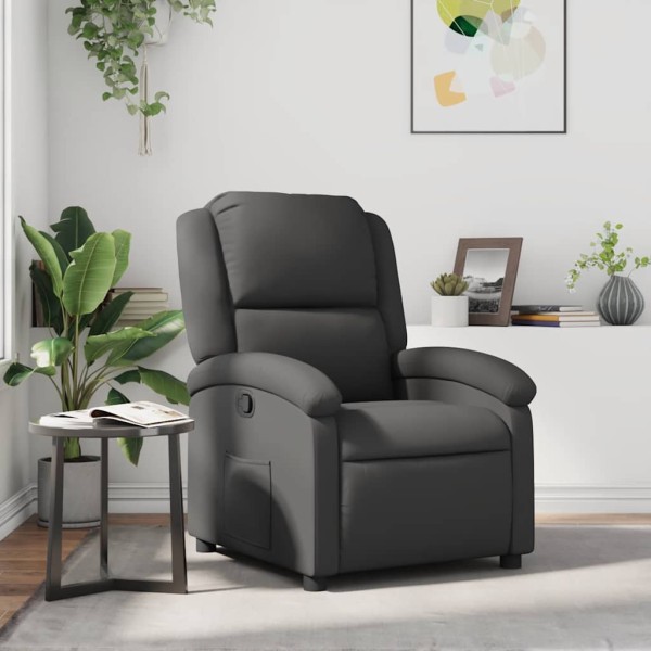 Reclining chair, gray, genuine leather