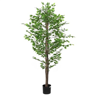 Artificial Ficcio plant,...