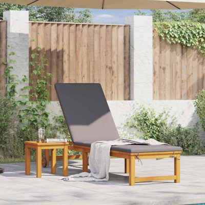 Sun lounger Brown 202 x 53...