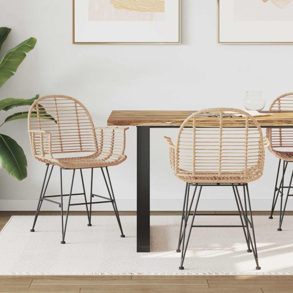Dining chair 2 pcs Rattan and Iron Natural