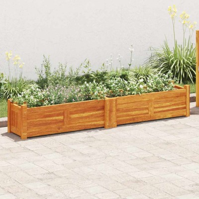 Plant tray, acacia,...