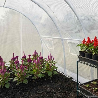 greenhouse, 300x150x200cm,...