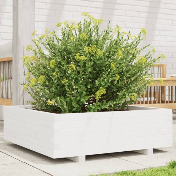 Garden bed, white, 80x80x26,5cm, pine wood array