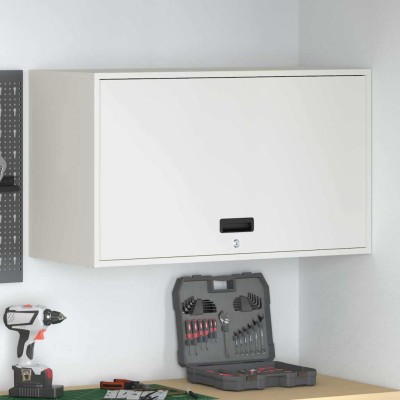 Wall cabinet for garage...