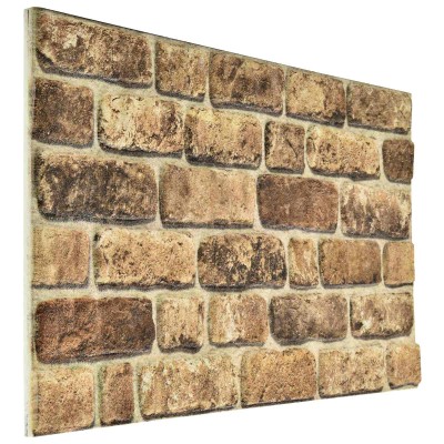 Wall panels 10 pcs. 100 x...