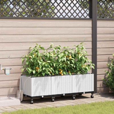 Garden pot with watering...