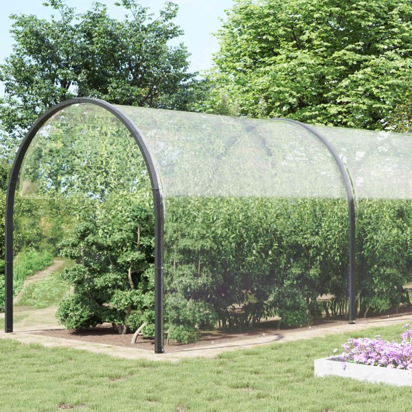 Plant cover Transparent 8 x 8 m PVC