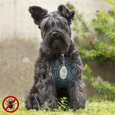 Ladattava ultraääni...