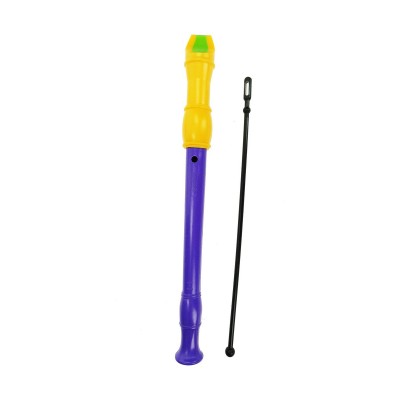 Recorder Reig Purple Yellow...