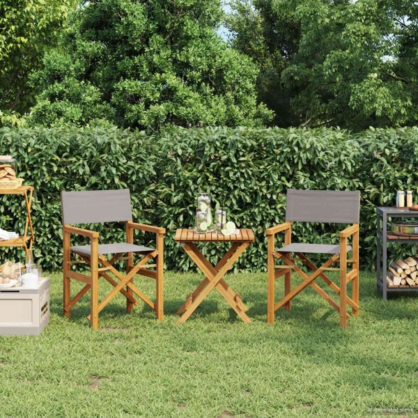 Director's chair Brown and light gray solid wood
