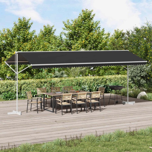 Open awning Anthracite 6 x 3 m Polyester