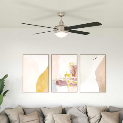 Ceiling fan with light and...