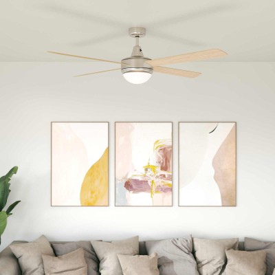 Ceiling fan with light and...