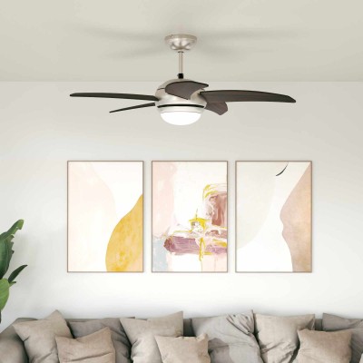 Ceiling fan with light and...