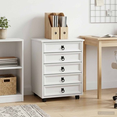 Cabinet on wheels with...