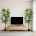 Indoor & Outdoor Plants