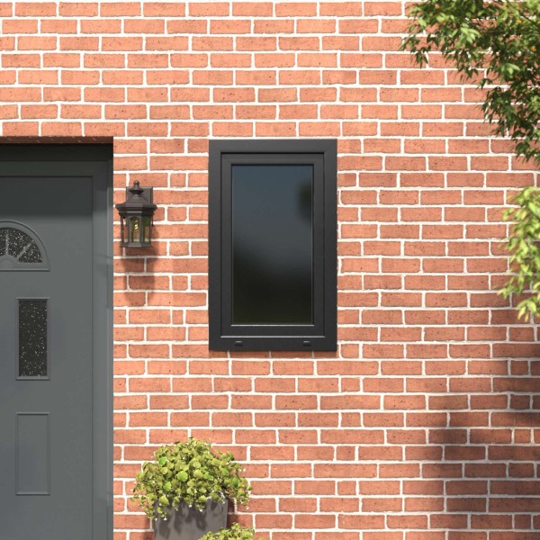 Požeminio lango RISOR 60 x 100 cm PVC ir stiklas