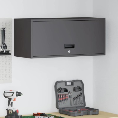 Wall cabinet for garage...