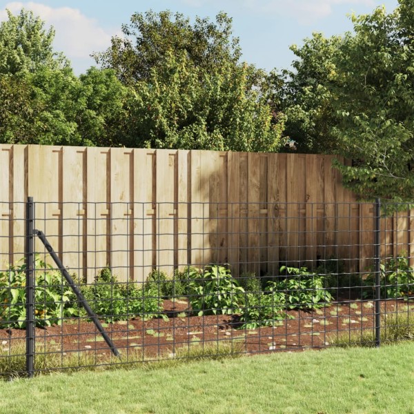 Wire mesh fence with spikes, anthracite color, 1.1x25m