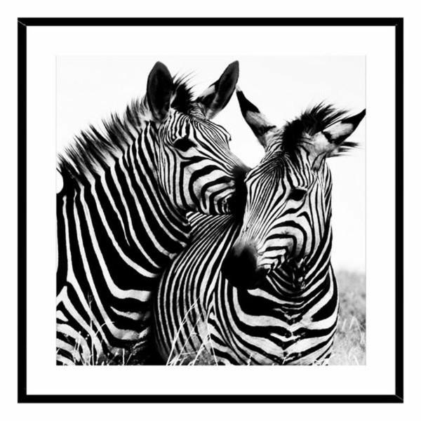 Glezna Zebra Stikls (2 x 50 x 50 cm)