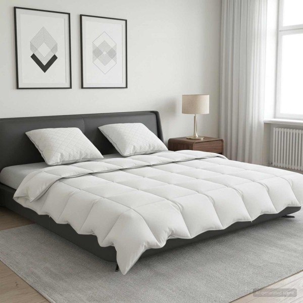 90% goose down duvet set FULDA 3 pcs. 200 x 220 cm