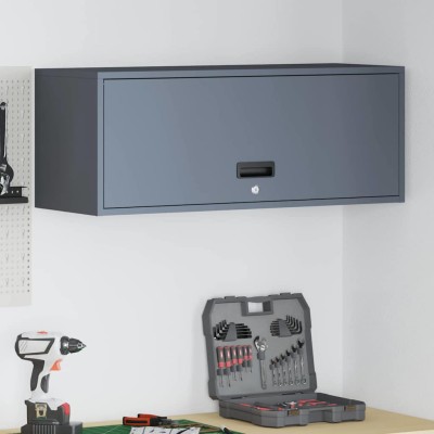 Wall cabinet for garage...