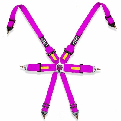 Harness with 6 fastening...