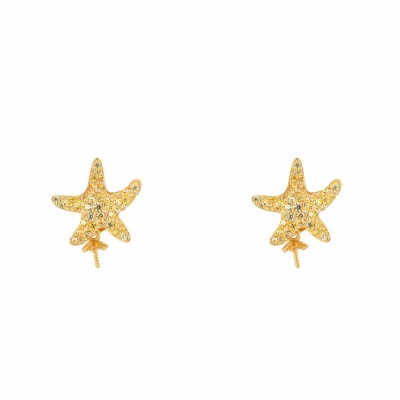 Ladies' Earrings Lancaster...