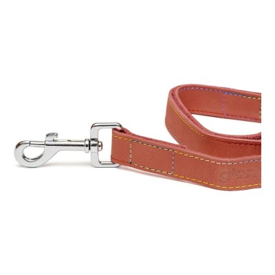 Dog Lead Gloria Oasis 2.1 x...