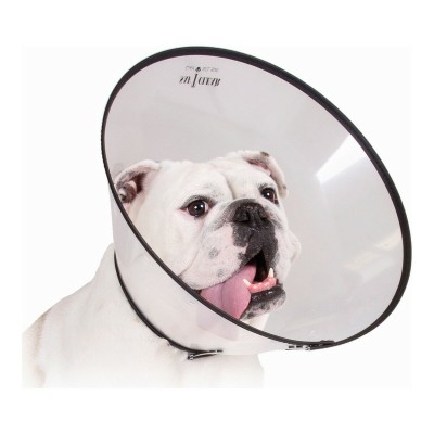 Elizabethan Dog Collar KVP...