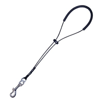 Lemmiklooma rakmed Gloria...