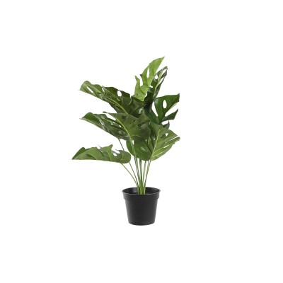 Decorative Plant DKD Home...