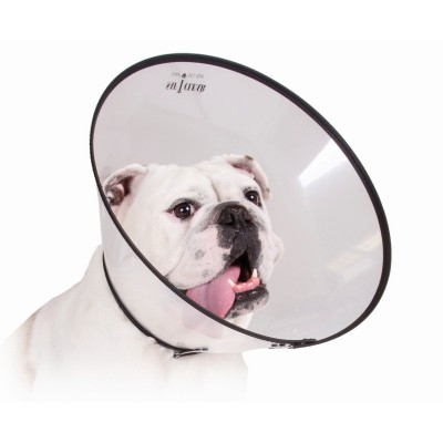 Elizabethan Dog Collar KVP...