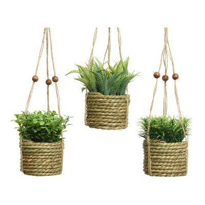 Decorative Plant Everlands...