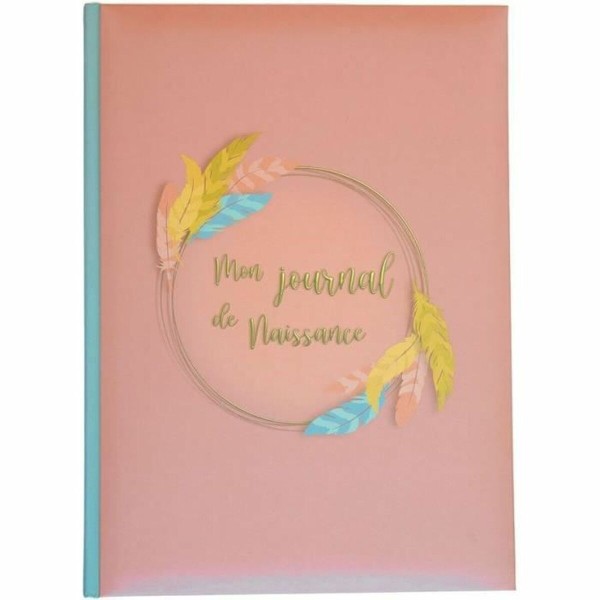 Albums Domiva Mon Journal de Naissance