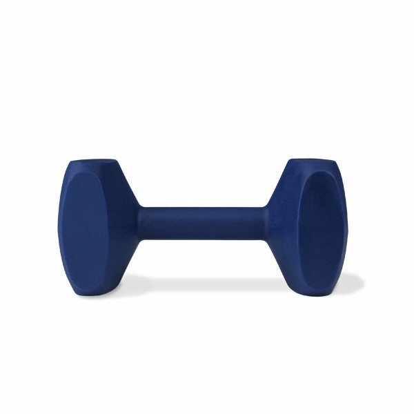 Hantel Coachi TRAINING DUMBBELL Sinine