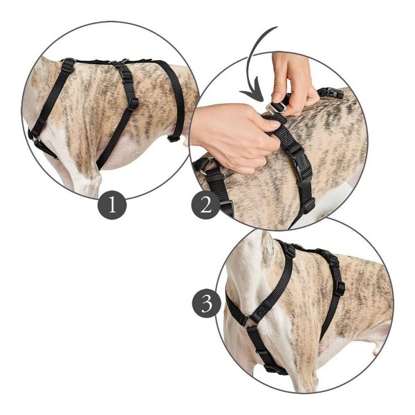 Šuns pakinktai Hunter 48-70 cm Juoda S/M