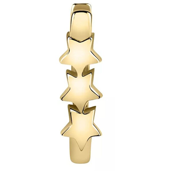 Moteriški auskarai La Petite Story LPS02ARQ156