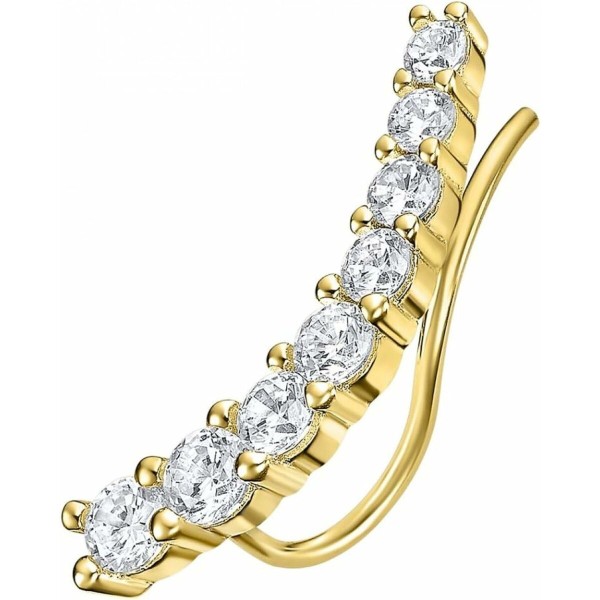 Naiste Kõrvarõngad Lotus LP3386-9/2