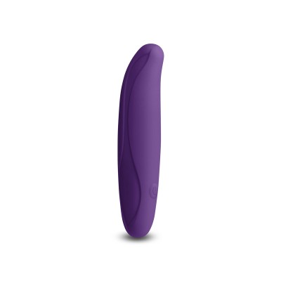 Mini Vibrators NS Novelties...