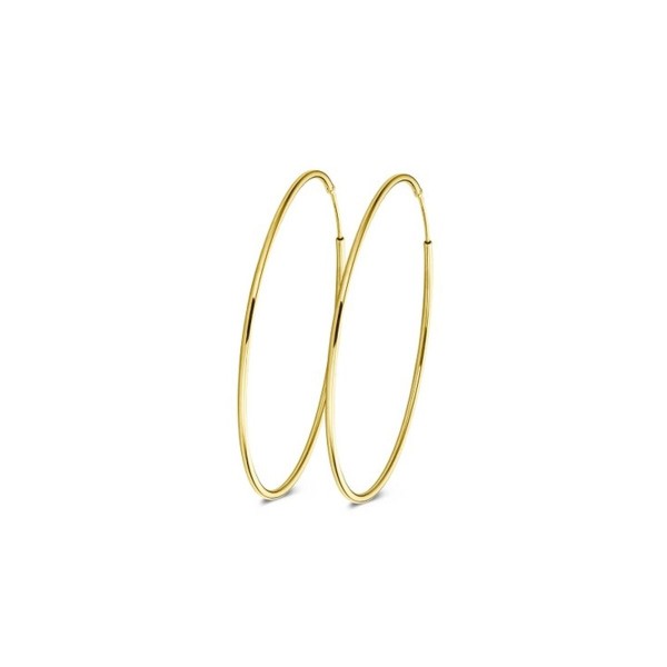 Naiste Kõrvarõngad New Bling 9NB-0566