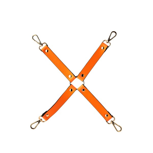 Sūpynės Dream Toys Radiant