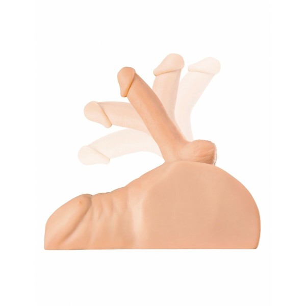 Patvarus Jack Ass Pipedream PDX Plus Mėsa