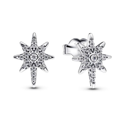 Ladies' Earrings Pandora...