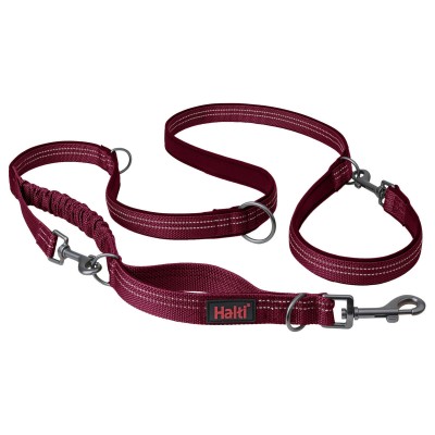 Dog Lead Company of Animals...